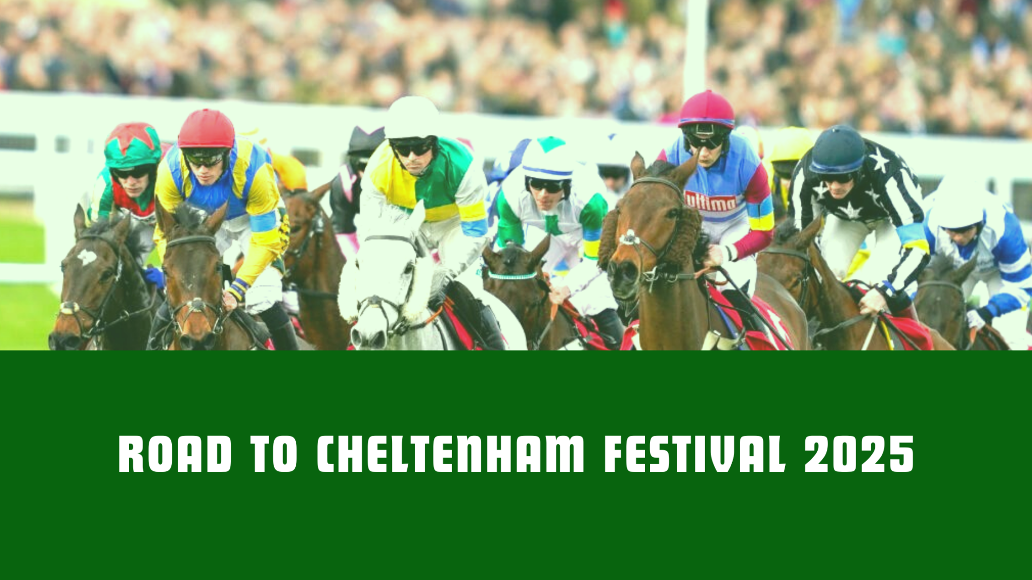 Road to the Cheltenham Festival 2025 7 weeks to go Severn Sport