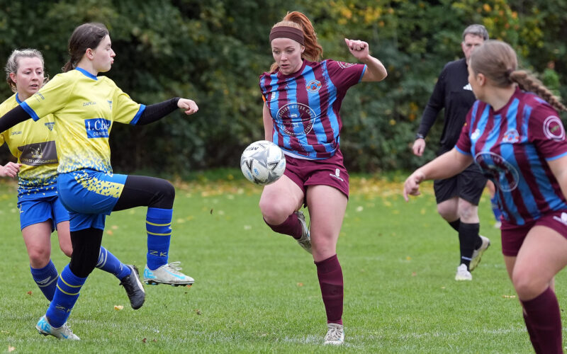 54881027052_742bb518e3_k