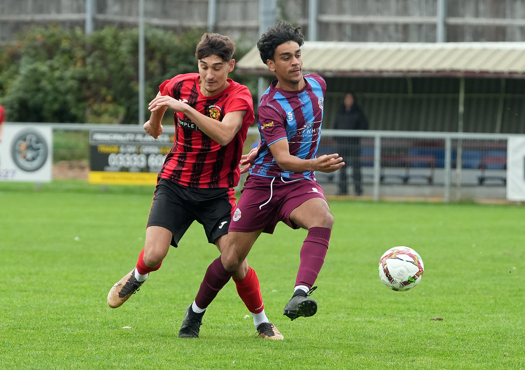 54864596266_2797ad39b1_k