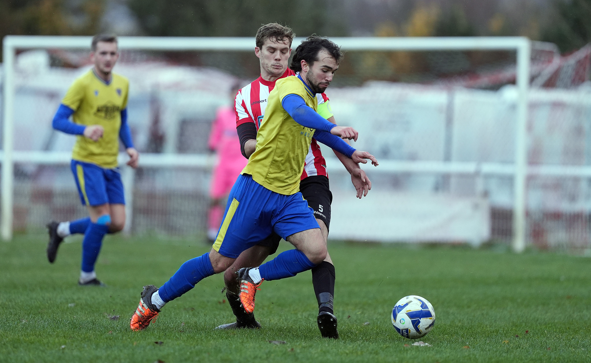 54969669095_e82fc01958_k