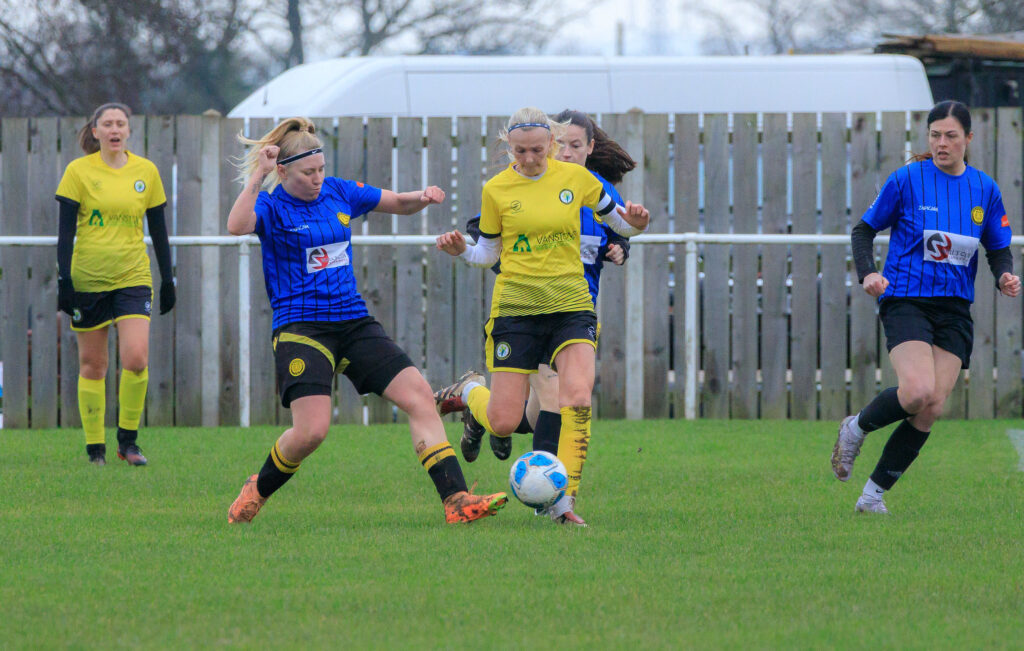 54996885997_1001697e7a_k