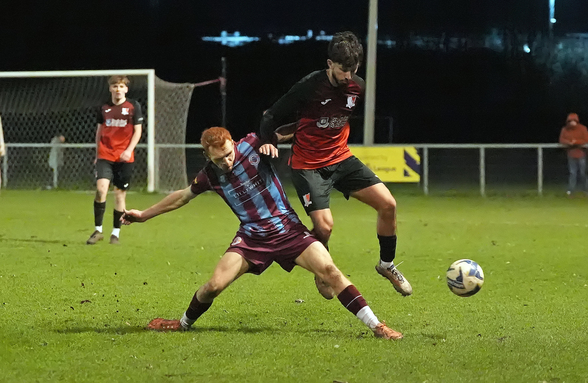 55009385072_f3472dc0c9_k