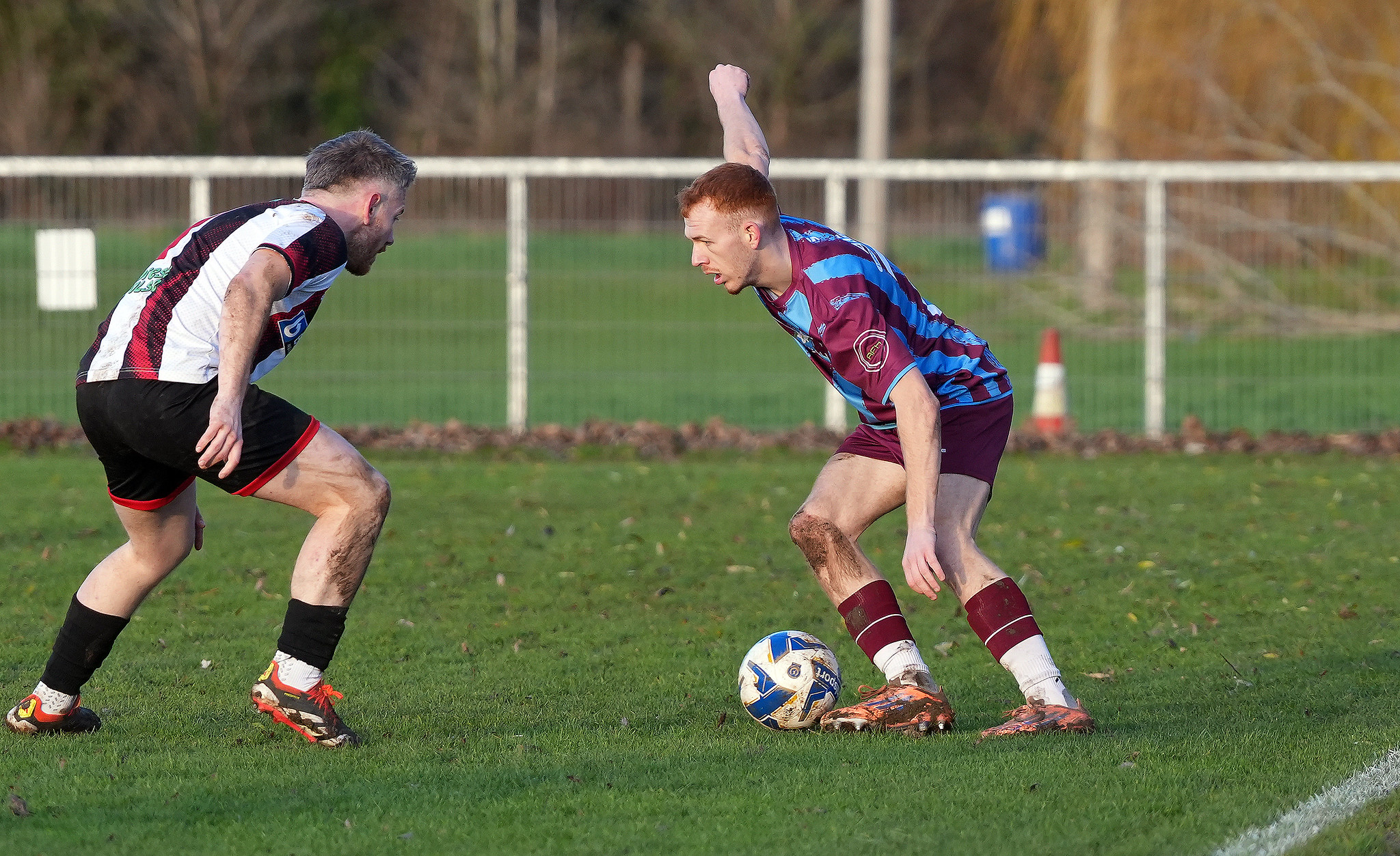 54997474119_2b311c72d5_k