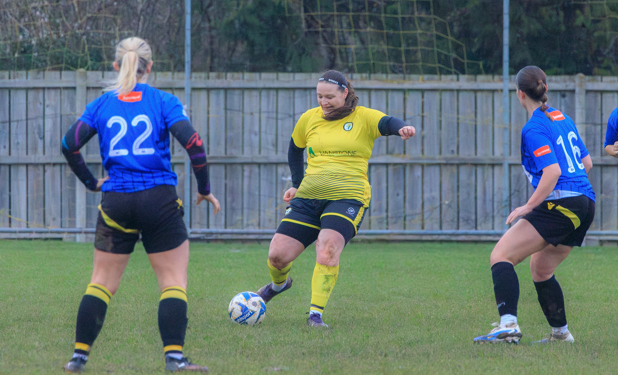 54997894113_690bee5372_k