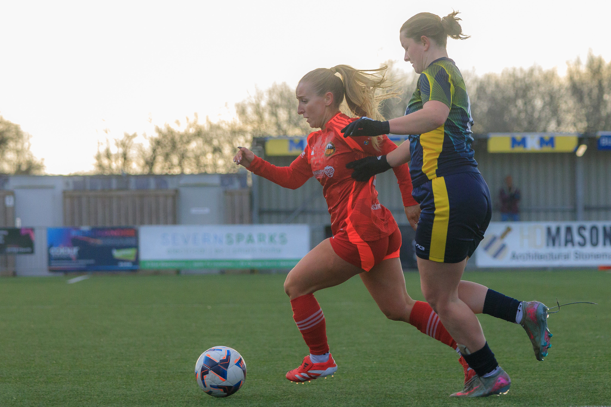 55023972903_454901f572_k