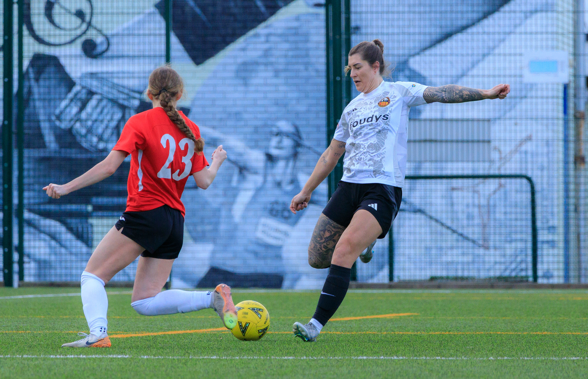 55059724912_a311c57a52_k